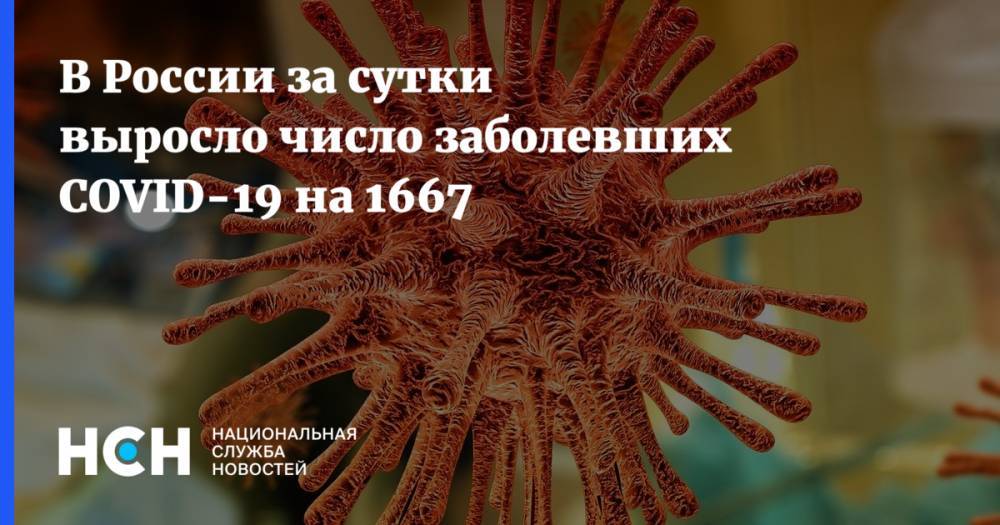 В России за сутки выросло число заболевших COVID-19 на 1667 - nsn.fm - Россия