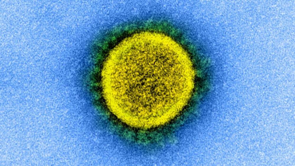 В РФ зарегистрирована тест-система для выявления антител к коронавирусу - riafan.ru - Россия - Москва