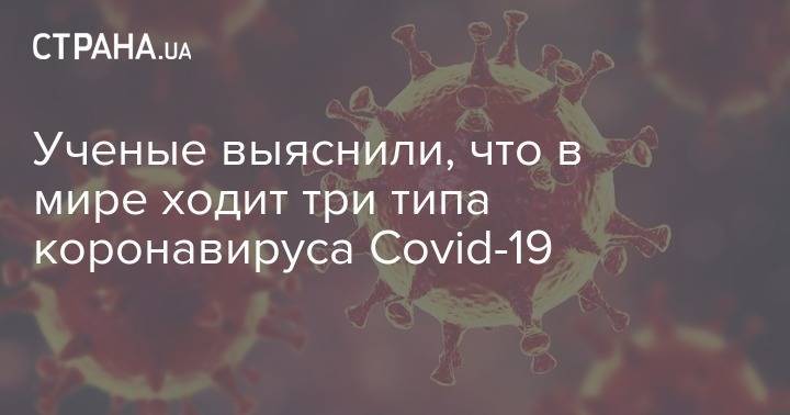 Ученые выяснили, что в мире ходит три типа коронавируса Covid-19 - strana.ua - Сша - Австралия