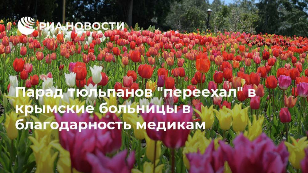 Парад тюльпанов "переехал" в крымские больницы в благодарность медикам - ria.ru - Москва - республика Крым