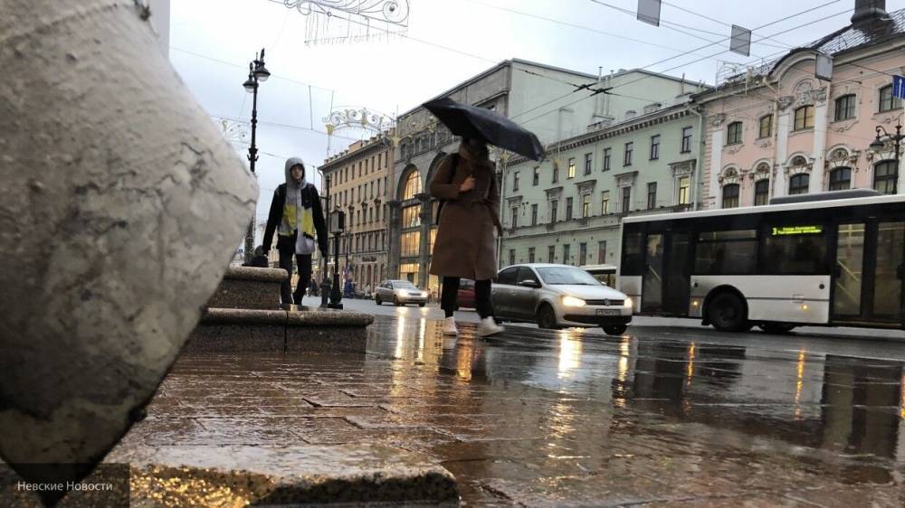 Мокрый снег и порывистый ветер надвигаются на Петербург - politexpert.net - Санкт-Петербург
