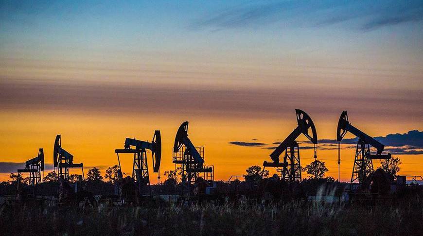 Африканские нефтяники заявили о сокращении добычи вместе с ОПЕК+ - belta.by - Минск