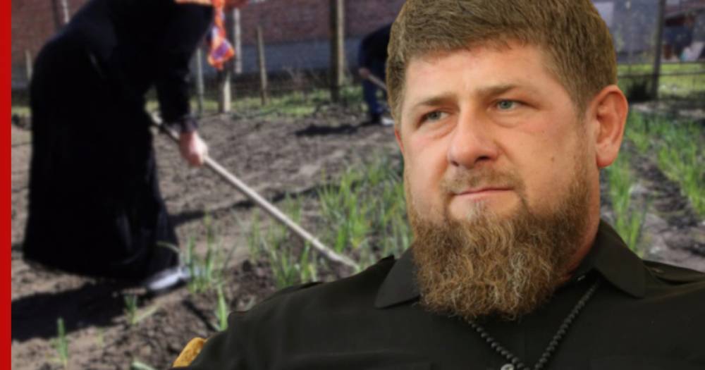 Рамзан Кадыров - Кадыров придумал наказание для нарушителей самоизоляции - profile.ru - республика Чечня