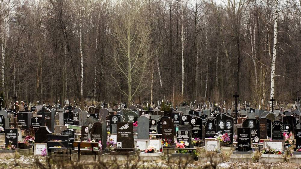 Петербуржцы нарушили запрет, проникнув на Смоленское кладбище - vestirossii.com - Санкт-Петербург - Иерусалим - Смоленск