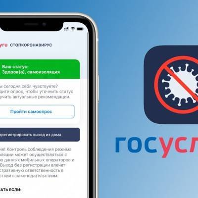 Минкомсвязь запустила приложение для выдачи цифровых пропусков - radiomayak.ru - Россия