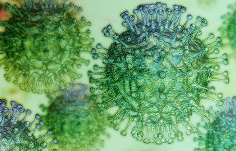 Врачи в Японии нашли препарат для блокировки коронавируса - news.ru - Япония - Гонконг