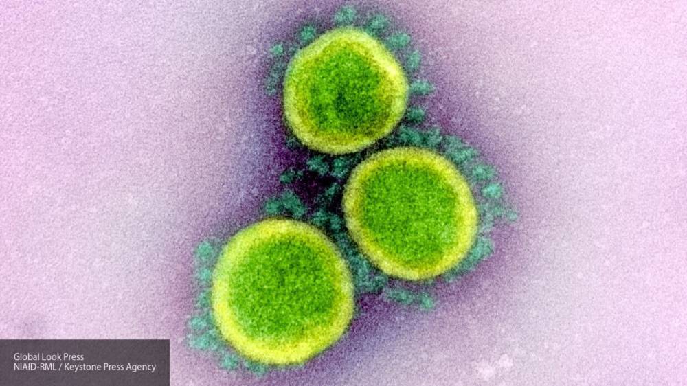 Японские ученые выяснили, что лекарство от ВИЧ может блокировать размножение коронавируса - inforeactor.ru