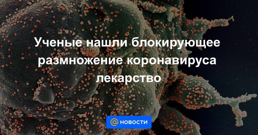 Ученые нашли блокирующее размножение коронавируса лекарство - news.mail.ru