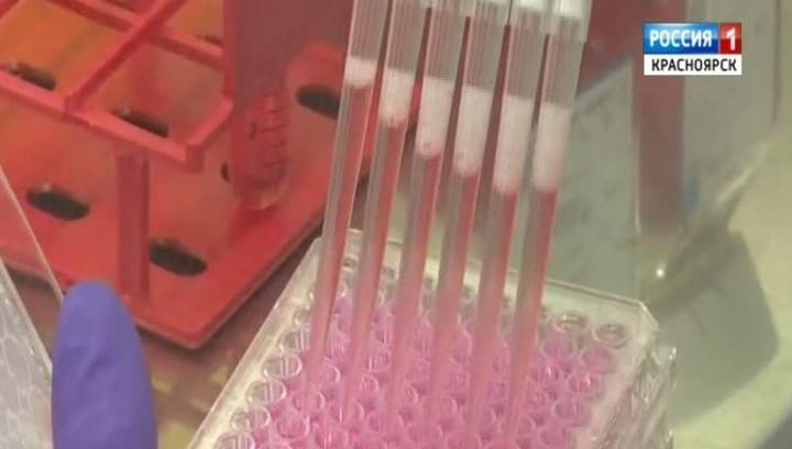 Тесты на коронавирус будут подтверждать в Красноярске - vesti.ru - Новосибирск - Красноярск