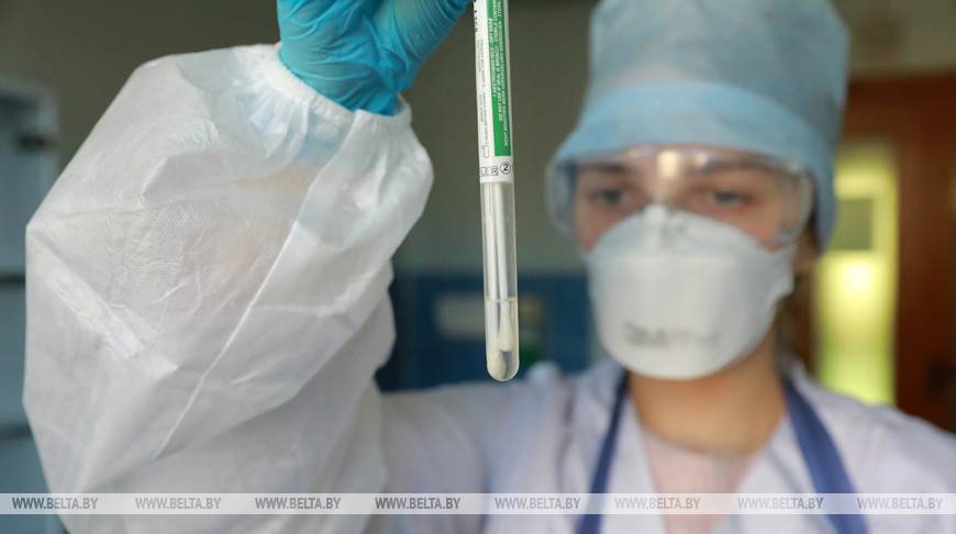 Почти 68 тыс. тестов на коронавирус проведено в Беларуси - belta.by - Белоруссия - Минск