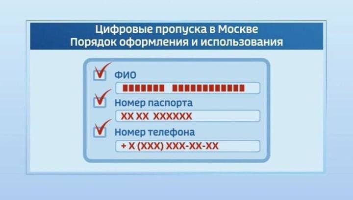 Злоумышленники пытаются обрушить столичный сайт с цифровыми пропусками - vesti.ru - Москва