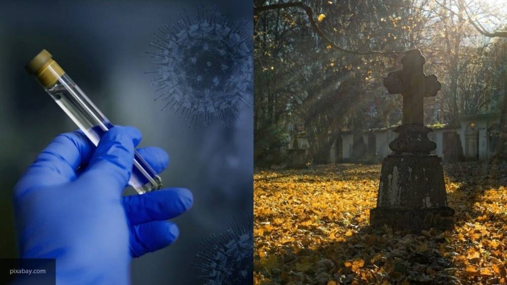 Вирусолог объяснил причину низкой смертности от коронавируса в России - nation-news.ru - Россия - Ссср