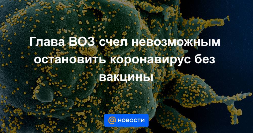 Глава ВОЗ счел невозможным остановить коронавирус без вакцины - news.mail.ru