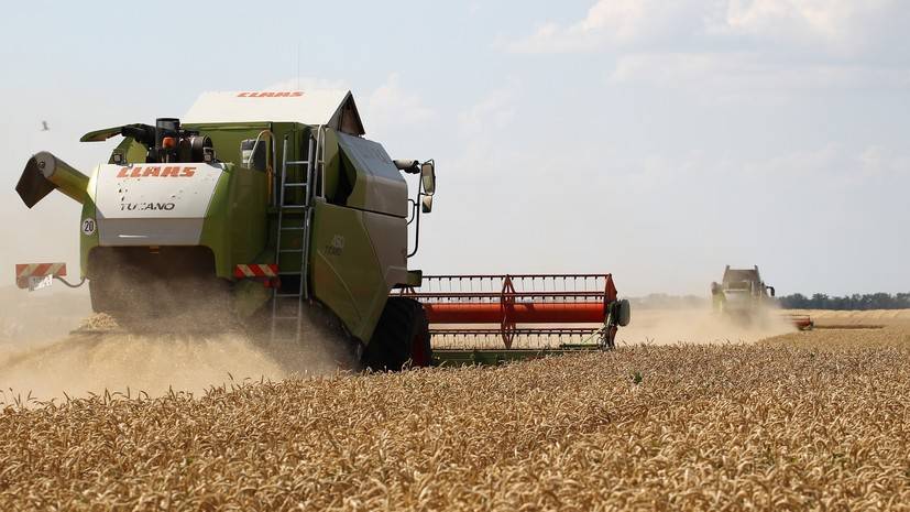 Ценная культура: как удорожание пшеницы может повлиять на стоимость мучных изделий в России - russian.rt.com - Россия