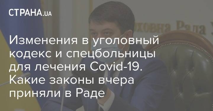 Изменения в уголовный кодекс и спецбольницы для лечения Covid-19. Какие законы вчера приняли в Раде - strana.ua