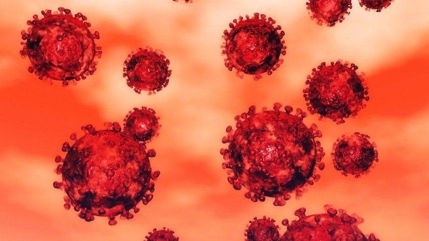Тедрос Адханом Гебрейесус - ВОЗ считает, что коронавирус в десять раз смертельнее свиного гриппа - 5-tv.ru