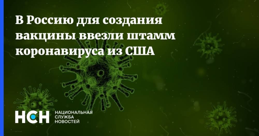 В Россию для создания вакцины ввезли штамм коронавируса из США - nsn.fm - Россия - Сша