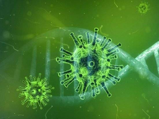 Ученые нашли у коронавируса слабое место - newtvnews.ru