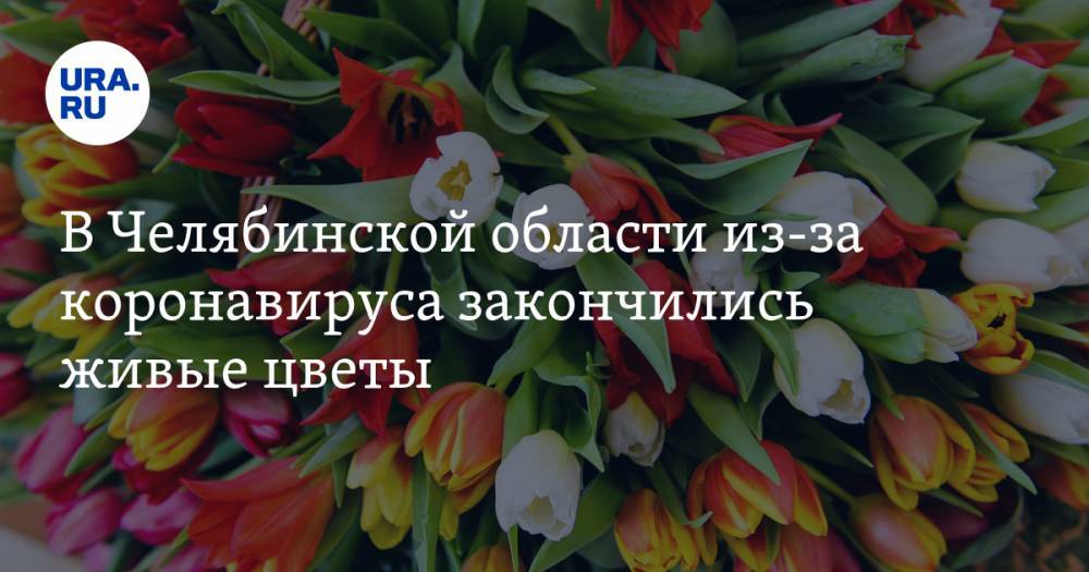 В Челябинской области из-за коронавируса закончились живые цветы - ura.news - Казахстан - Челябинская обл.