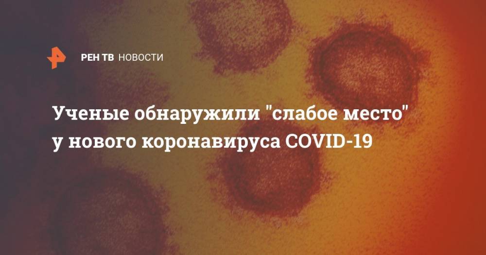 Ученые обнаружили "слабое место" у нового коронавируса COVID-19 - ren.tv