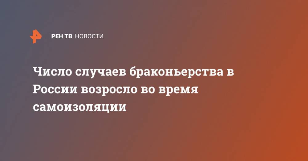 Число случаев браконьерства в России возросло во время самоизоляции - ren.tv - Россия