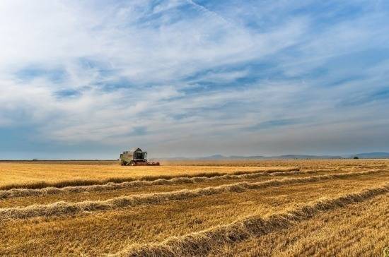 Коронавирусу назло: «ФосАгро-регион» наращивает поставки удобрений российскому АПК - pnp.ru - Россия