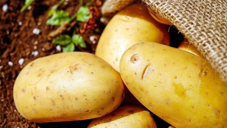 На Кипре оштрафовали двух жителей на 3 тыс евро за кражу картофеля с поля - newizv.ru - Москва - Кипр