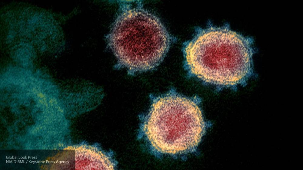 Марк Милль - Пентагон заявил о естественном происхождении коронавируса - nation-news.ru - Сша