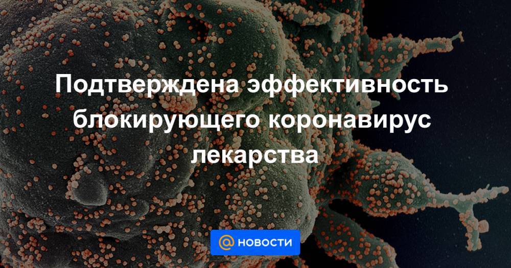 Подтверждена эффективность блокирующего коронавирус лекарства - news.mail.ru - Сша - Минздрав