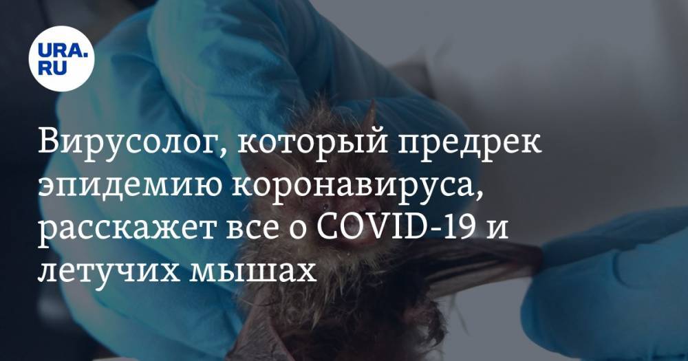 Михаил Щелканов - Вирусолог, который предрек эпидемию коронавируса, расскажет все о COVID-19 и летучих мышах - ura.news - Москва