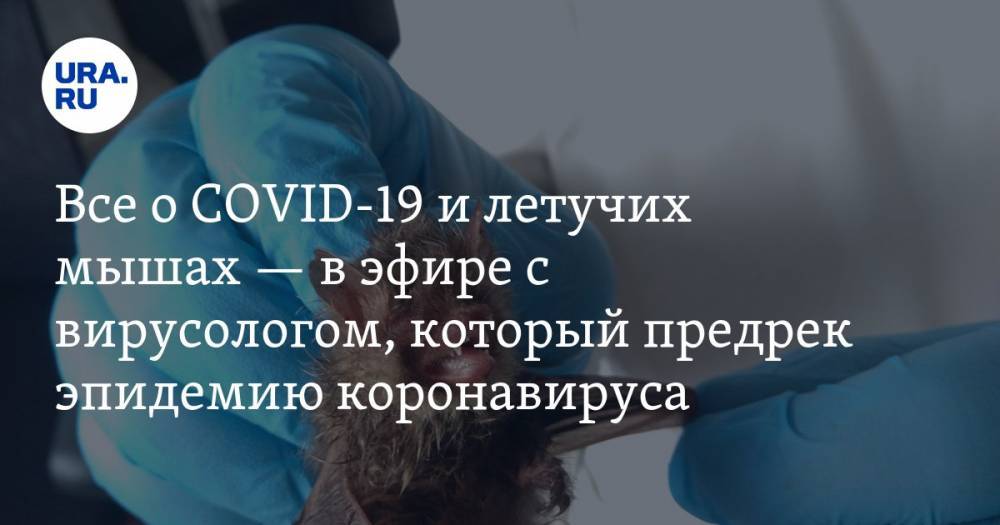 Все о COVID-19 и летучих мышах — в эфире с вирусологом, который предрек эпидемию коронавируса - ura.news - Россия - Екатеринбург
