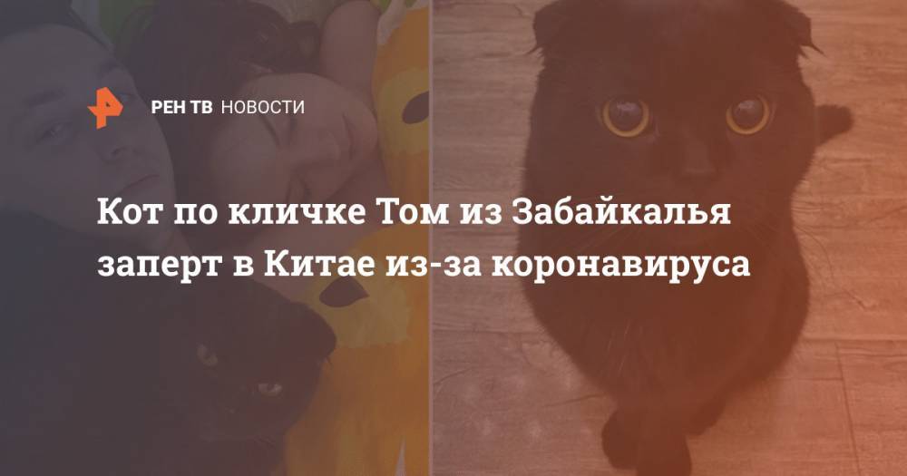Кот по кличке Том из Забайкалья заперт в Китае из-за коронавируса - ren.tv - Россия - Китай - Забайкальский край
