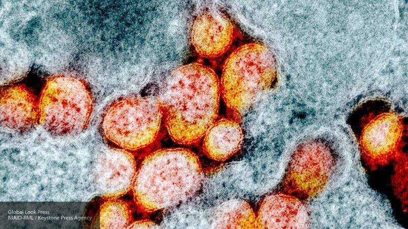 Ученый определил время действия иммунитета против коронавируса - inforeactor.ru - Россия