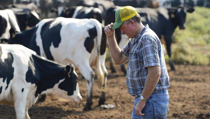 Сонни Пердью - Администрация Трампа намерена закупать молоко и мясо у фермеров США - vesti.ru - Сша