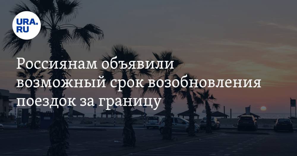 Александр Осауленко - Россиянам объявили возможный срок возобновления поездок за границу - ura.news - Россия