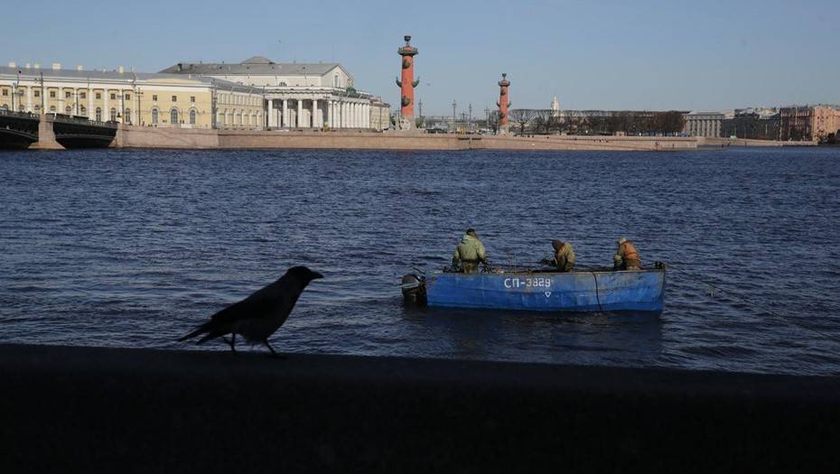 В Петербурге открыли навигацию для рыбаков - dp.ru - Санкт-Петербург