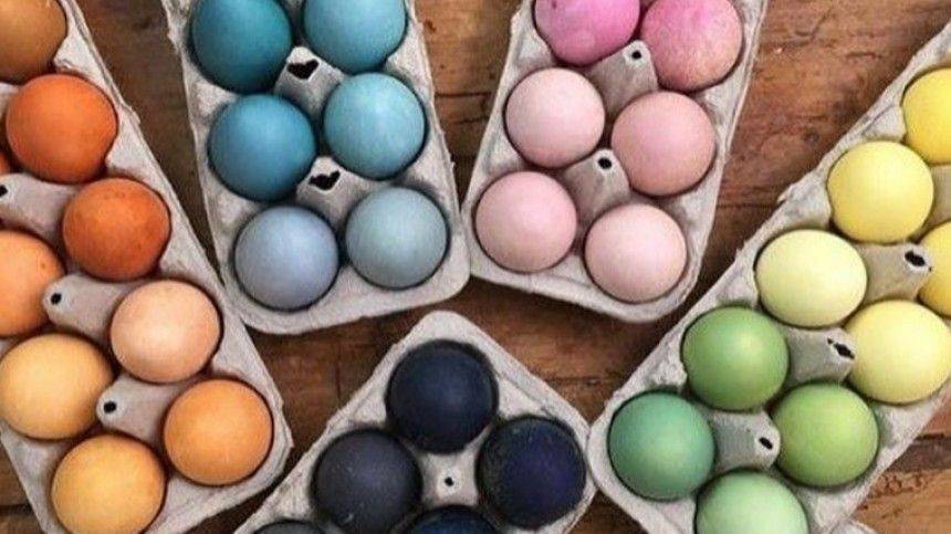 Как покрасить яйца к Пасхе, не используя искусственные красители - 5-tv.ru