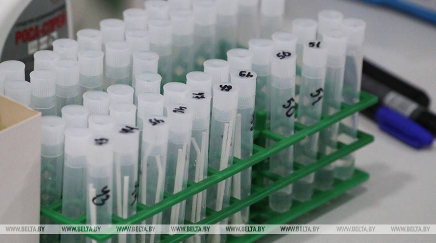 В Беларуси проведено более 81 тыс. тестов на коронавирус - belta.by - Белоруссия - Минск