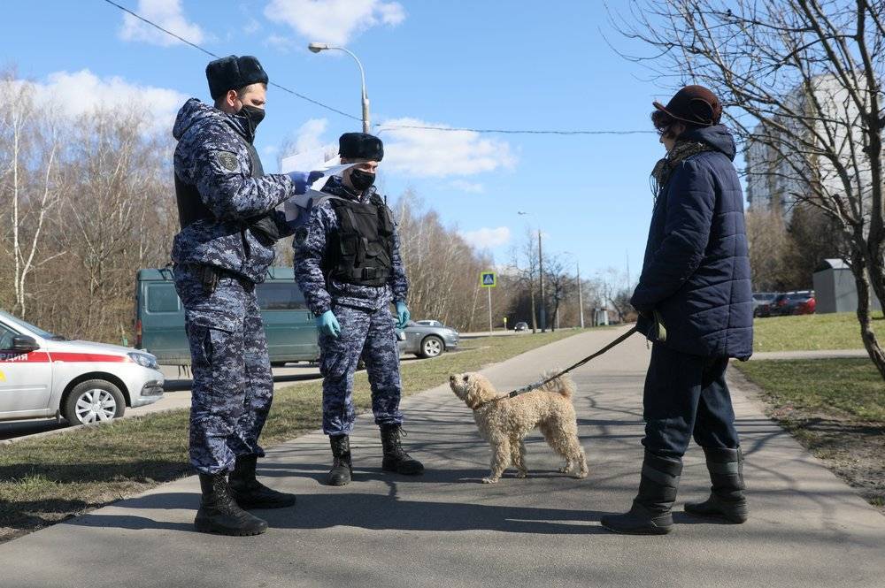Ветеринары не рекомендуют владельцам собак позволять незнакомцам гладить питомцев - vm.ru