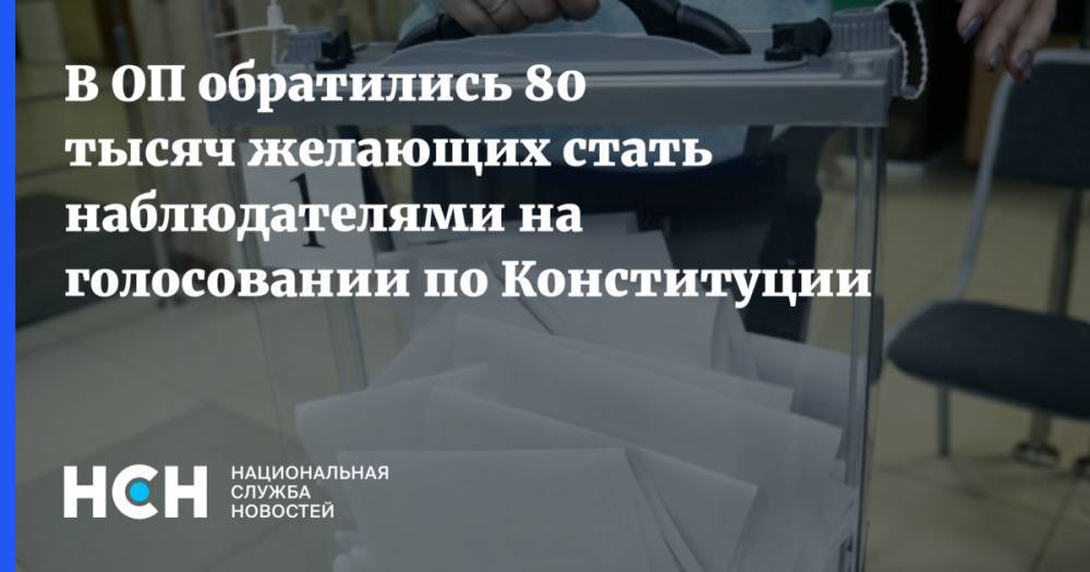 Максим Григорьев - В ОП обратились 80 тысяч желающих стать наблюдателями на голосовании по Конституции - nsn.fm - Россия