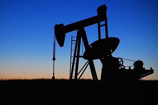 ОПЕК ожидает сильнейшего в истории падения спроса на нефть в 2020 году - pnp.ru