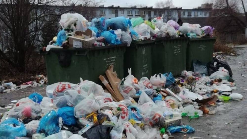 В РЭО опасаются возникновения критической ситуации с вывозом мусора в регионах России - riafan.ru - Россия - Москва