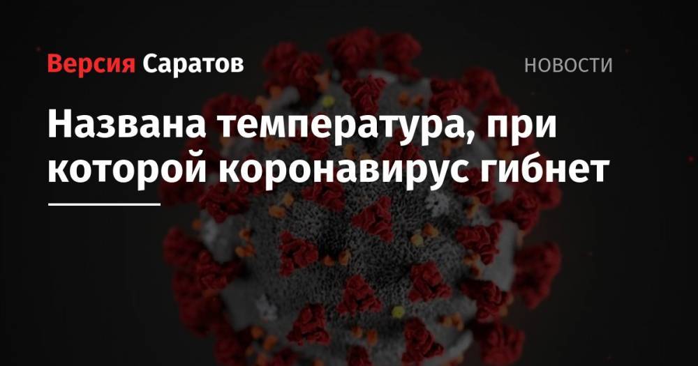 Названа температура, при которой коронавирус гибнет - nversia.ru