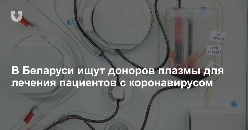 В Беларуси ищут доноров плазмы для лечения пациентов с коронавирусом - news.tut.by - Белоруссия