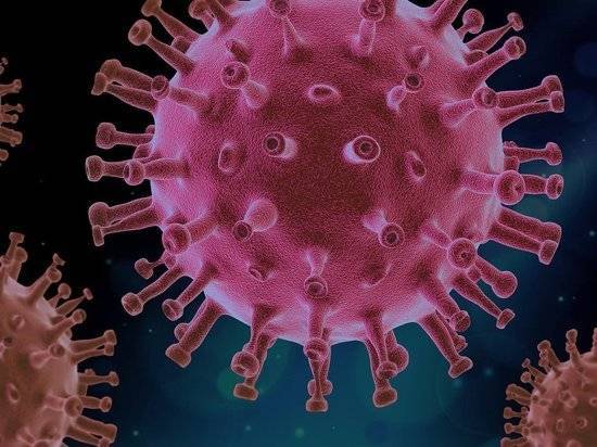 Российские вирусологи оценили открытие о температуре гибели коронавируса - newtvnews.ru