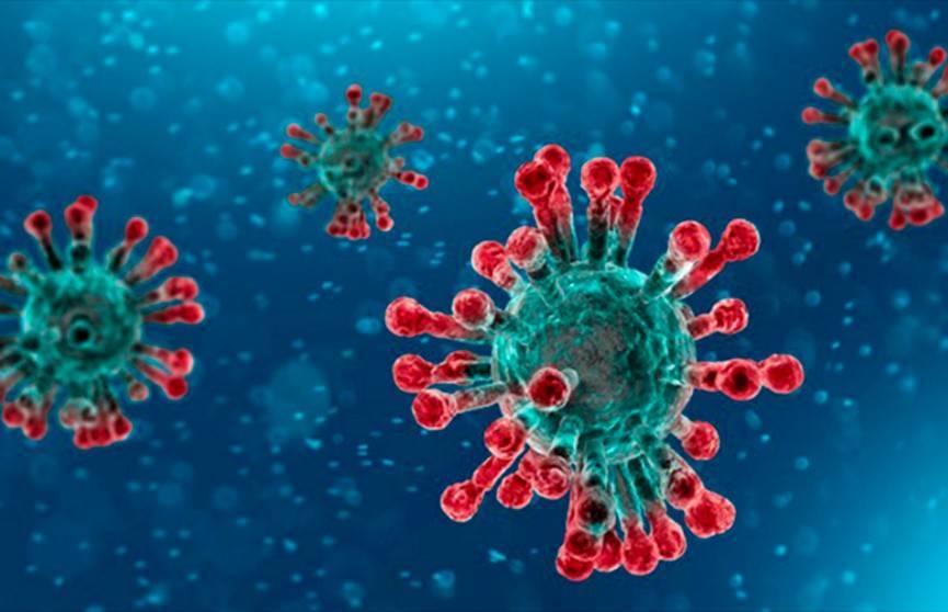 Ученые нашли способ остановить коронавирус в теле человека - ont.by