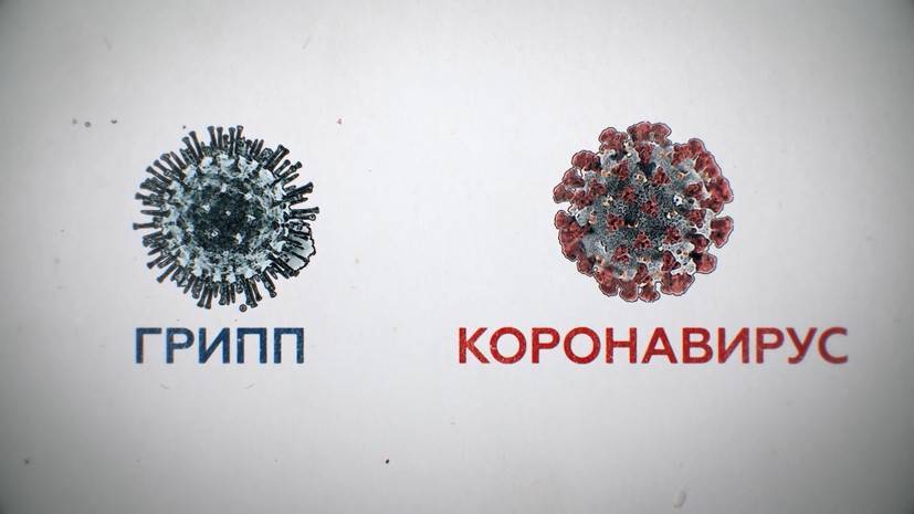 Смертность, скорость распространения и отсутствие вакцины: чем коронавирус опаснее гриппа - russian.rt.com