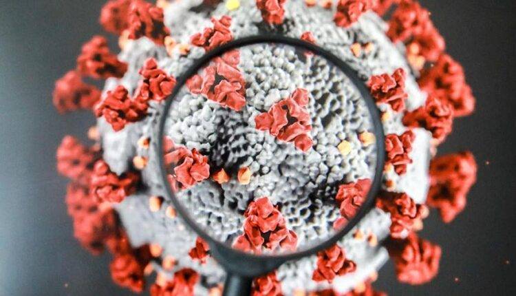 Люк Монтанье - Нобелевский лауреат указал на искусственное происхождение коронавируса - newtvnews.ru - Франция