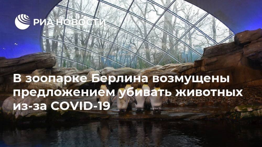 В зоопарке Берлина возмущены предложением убивать животных из-за COVID-19 - ria.ru - Германия - Берлин