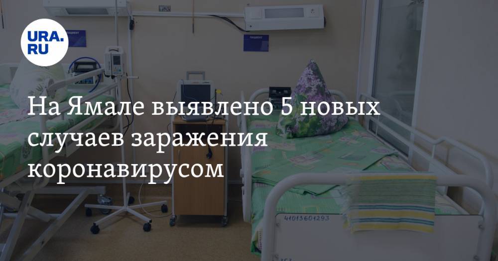 На Ямале выявлено 5 новых случаев заражения коронавирусом - ura.news - округ Янао